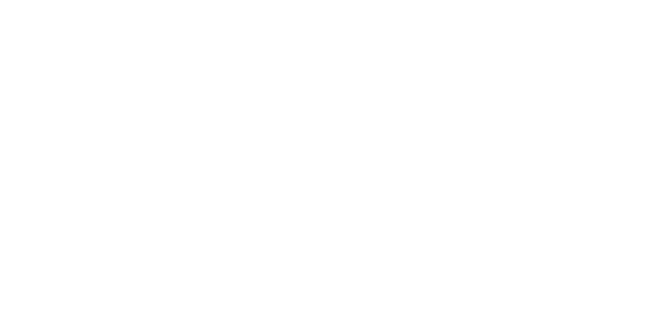 the reset logo white